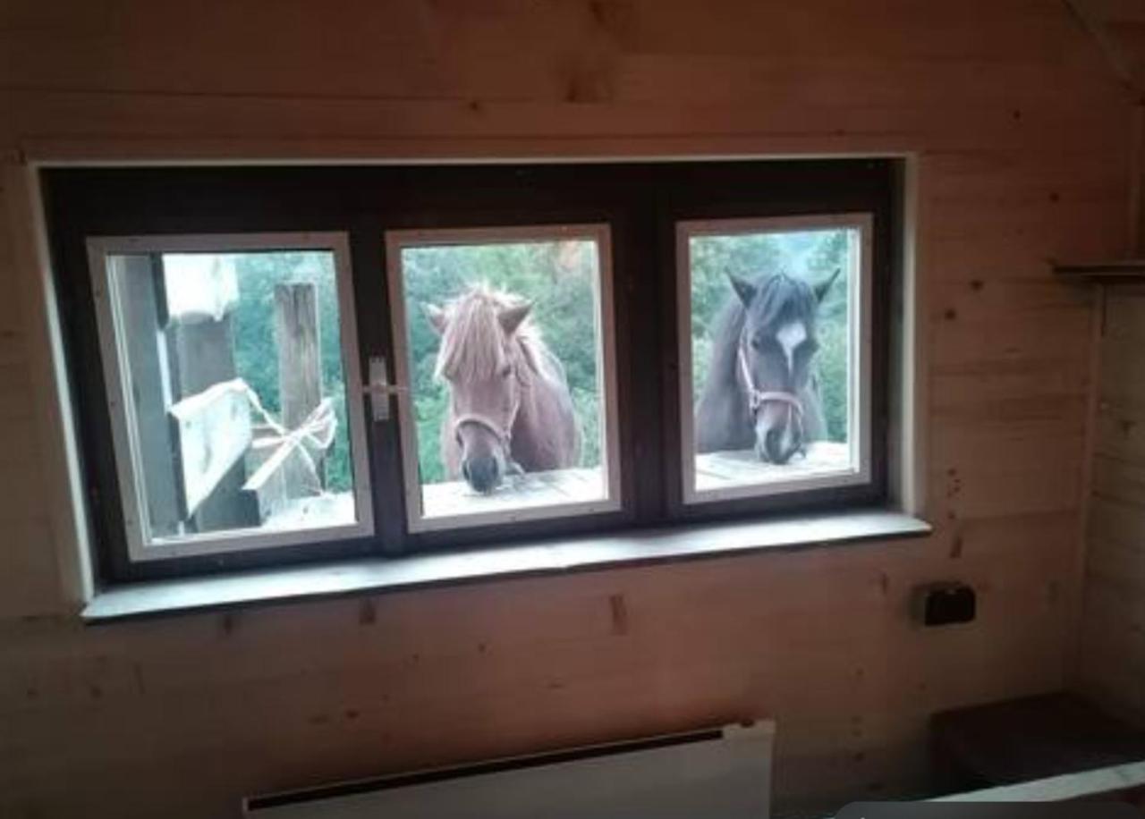 Gasthaus Ranch at Geta Razgorce Exterior foto