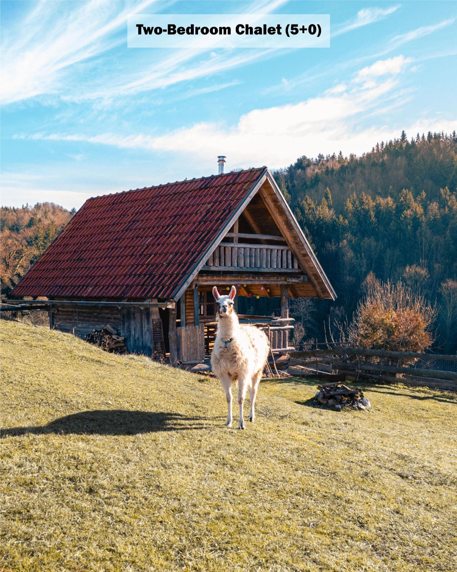 Gasthaus Ranch at Geta Razgorce Zimmer foto